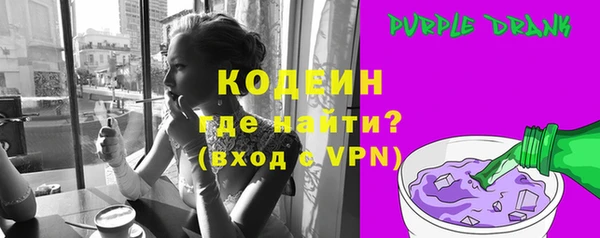крисы Каменка