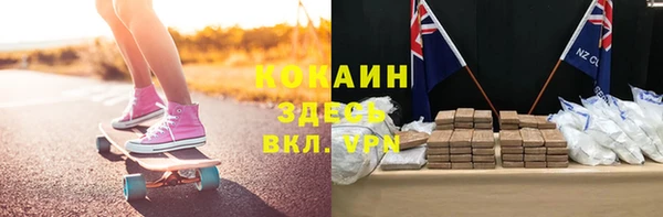крисы Каменка