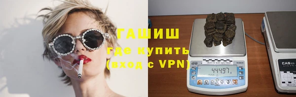крисы Каменка