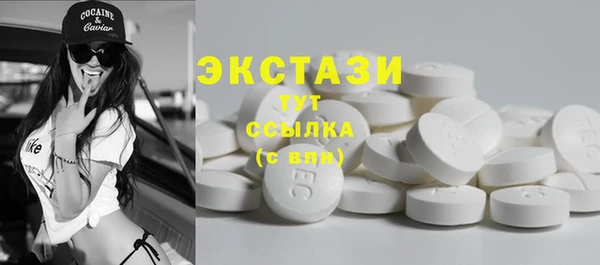 мет Инта