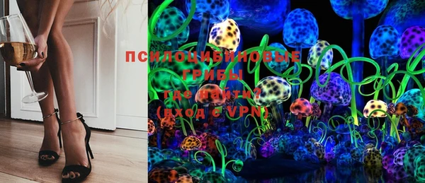 крисы Каменка