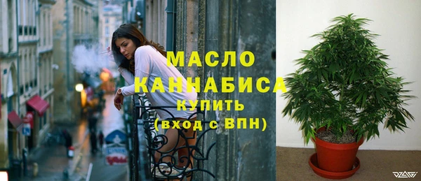 крисы Каменка