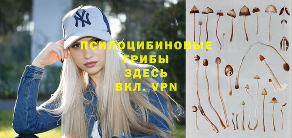 синтетический гашиш Каменск-Шахтинский