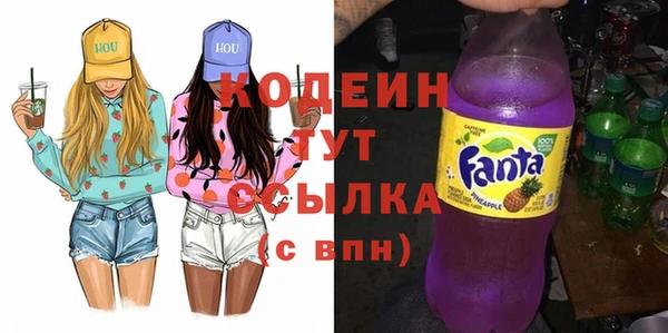 крисы Каменка