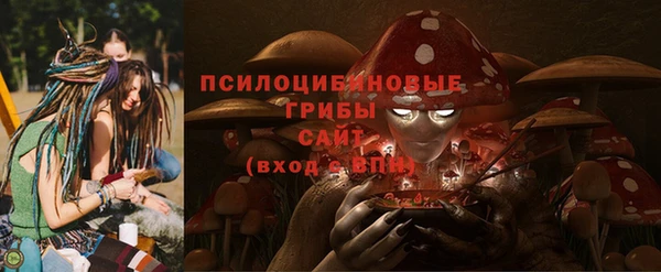 синтетический гашиш Каменск-Шахтинский