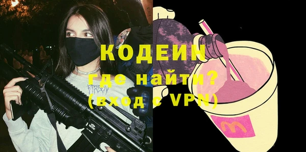 крисы Каменка