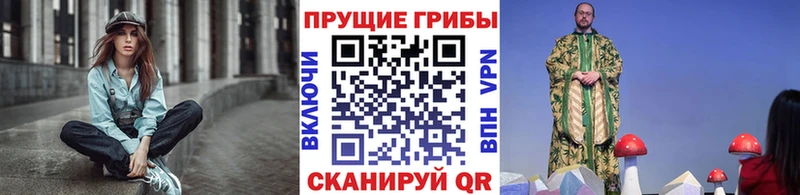магазин продажи наркотиков  Мезень  МЕГА ссылка  Галлюциногенные грибы Psilocybe 
