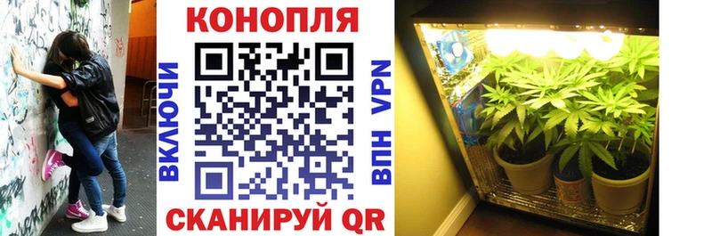 Канабис VHQ  мориарти какой сайт  Мезень 